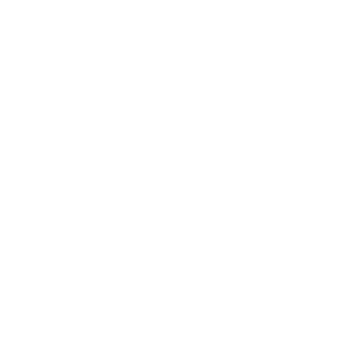 MONKEYS