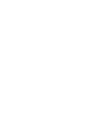 Shady Skaf